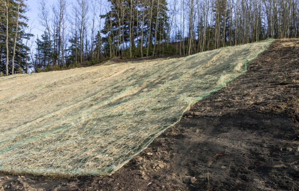 Cost of Soil Stabilization